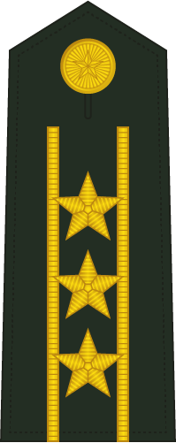 PLA Colonel insignia reference