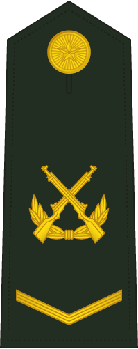 PLA Corporal insignia reference