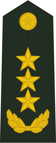 PLA General insignia reference