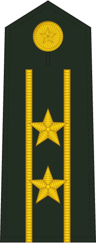 PLA Zhongxiao insignia reference