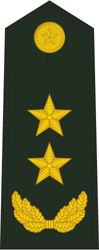 PLA Lieutenant General insignia reference