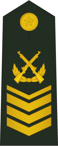 PLA Master Sergeant First Class insignia reference