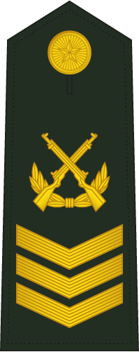 PLA Master Sergeant Second Class insignia reference