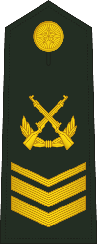 PLA Master Sergeant Third Class insignia reference