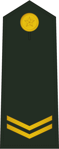 PLA Private First Class insignia reference