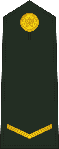 PLA Private insignia reference