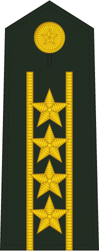 PLA Daxiao insignia reference