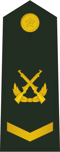 PLA Sergeant insignia reference